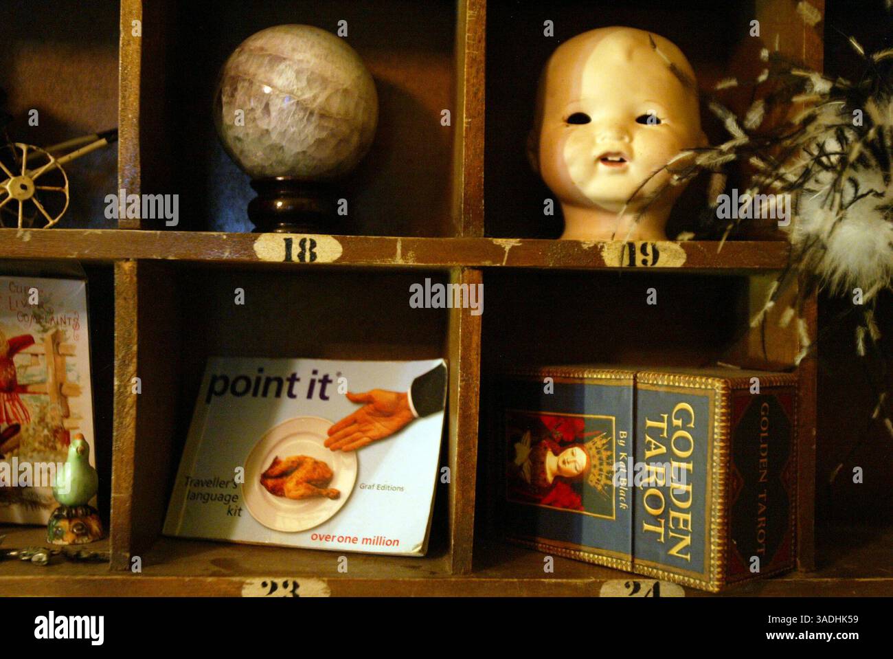 21 janvier 2012 - Oakland, CA, USA - Maggie Simpson montre une collection de bizarreries chez elle à Oakland, Californie, le 21 janvier 2012. Simpson, qui s'est mariée dans un cimetière il y a quelques années, est une artiste d'Oakland et ne se considère pas gothique en soi, mais exprime clairement des tendances gothiques à travers sa maison et son logement (crédit image : © Ray Chavez/Oakland Tribune/MCT/ZUMAPRESS.com) Banque D'Images