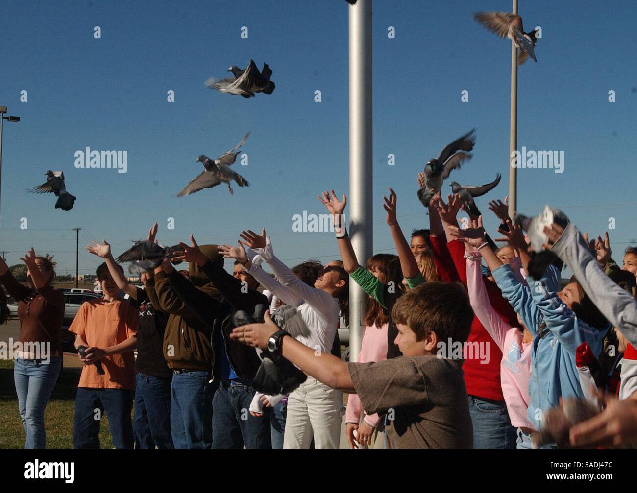 16 novembre 2005 ; San Antonio, TX, États-Unis ; les élèves de 7e et 8e année de la Canyon Middle School publient des pigeons qu'ils élèvent afin de suivre les données sur la constitution génétique des oiseaux. Mercredi 16 novembre 2005. . (Image de crédit : Marianna Day Massey/ZUMAPRESS.com) Banque D'Images