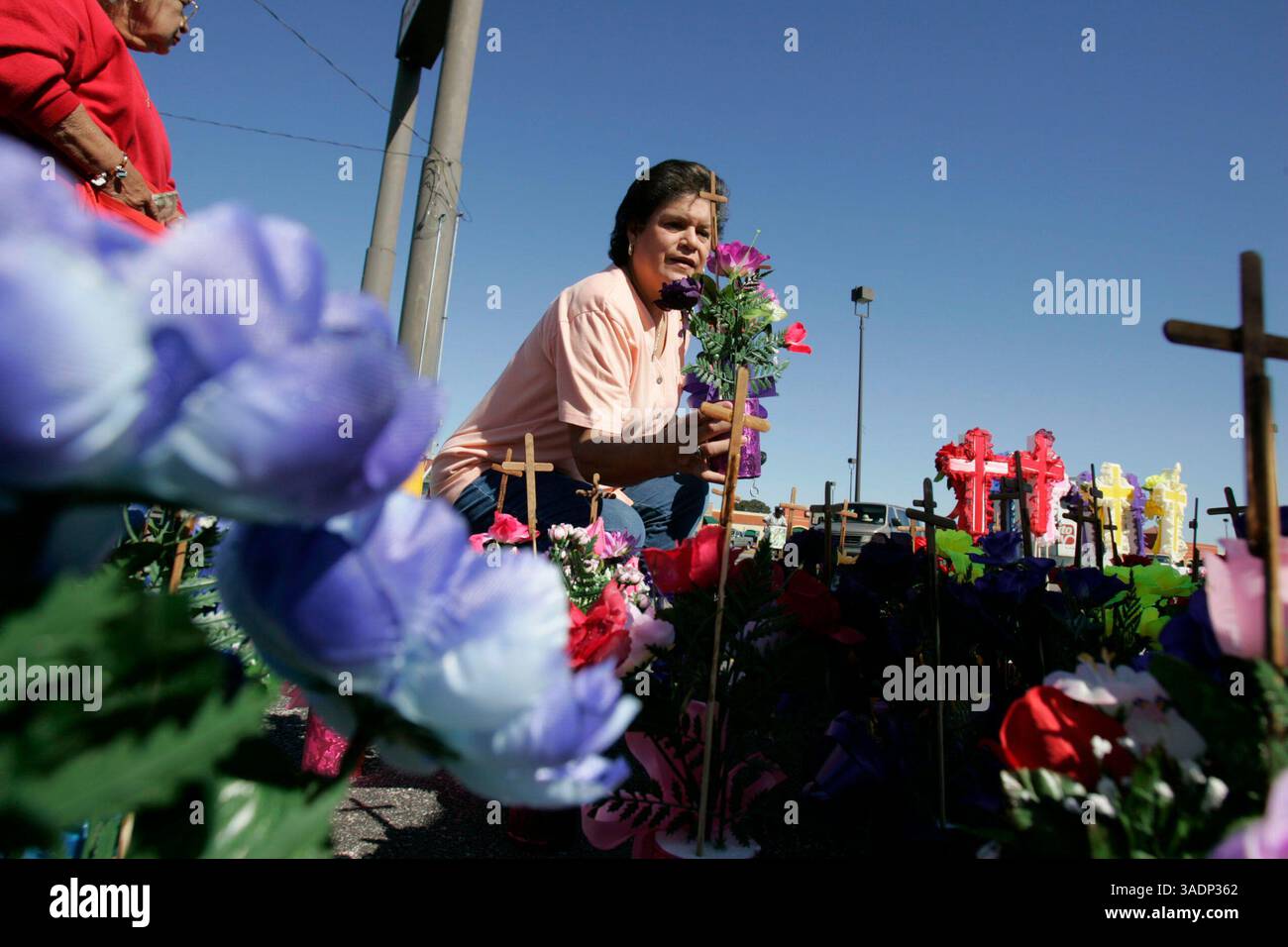 01 nov. 2005 ; San Antonio, TX, États-Unis ; CONNIE SANCHEZ achète une exposition florale au Las Palmas Mall le jour de la Toussaint à San Antonio, Texas, le mardi 1er novembre 2005. Les fleuristes ont bordé le parking du centre commercial vendant des expositions de fleurs pour ceux qui honorent les êtres chers décédés en l'honneur de Dia de Los Muertos. (Crédit image : Rumbo/ZUMAPRESS.com) Banque D'Images