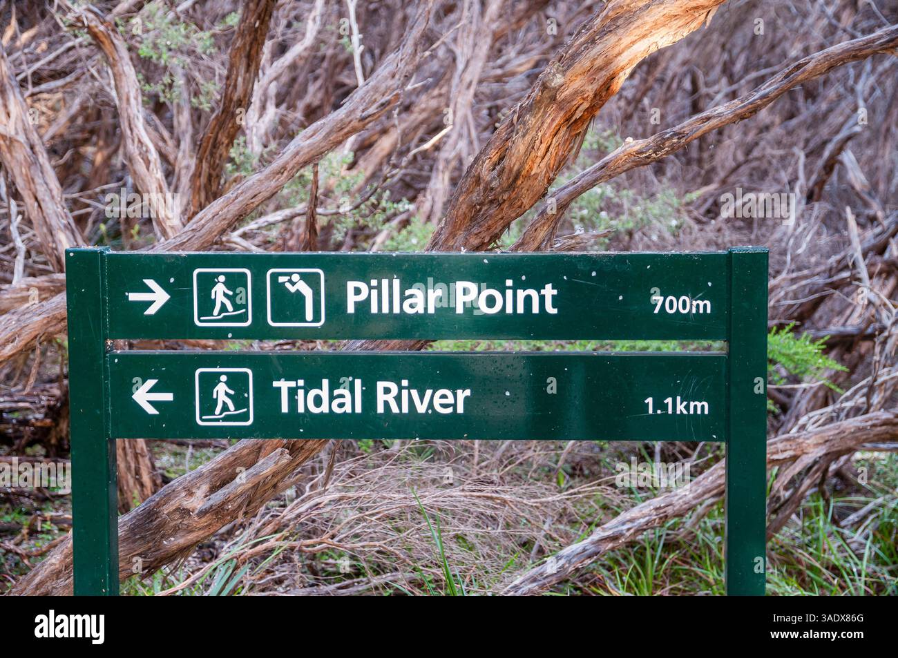 Signal de Pillar point et Tidal River, près de Pathway, parc national de Wilsons Promontory, Australie Banque D'Images