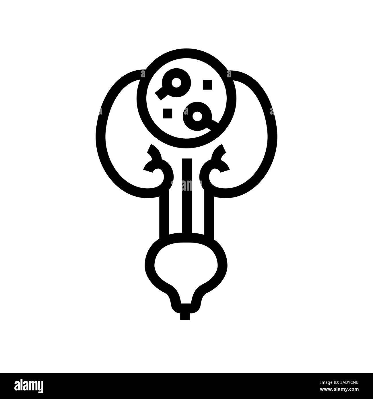 icône de ligne noire d'infection urinaire pour les projets numériques et imprimés. Icônes nettes minimales pour les applications et les sites Web. Banque D'Images