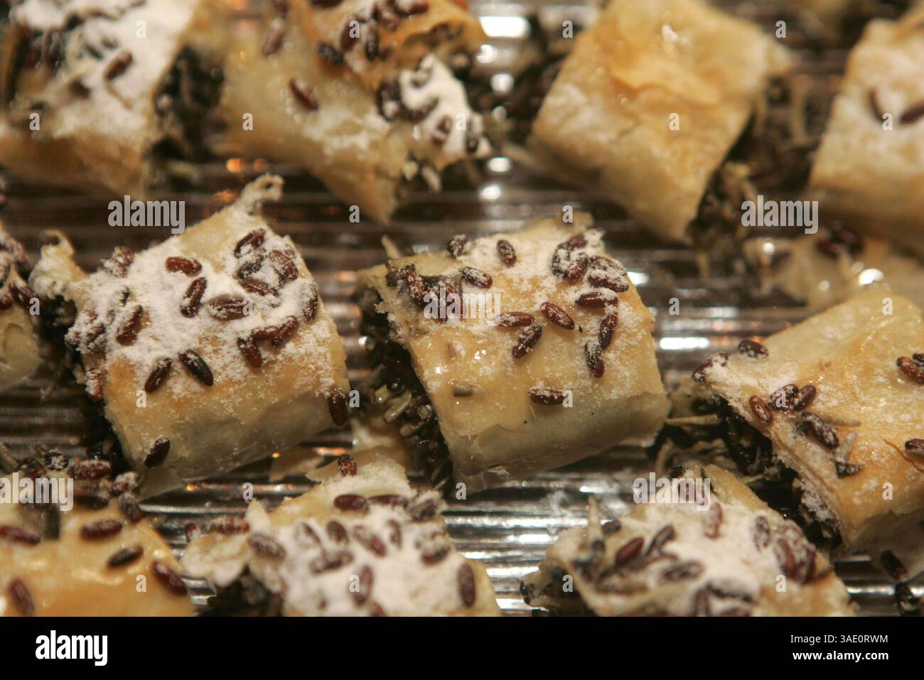 19 mars 2005 ; New York, NY, États-Unis ; une vue de Musca domestica Carnivale-Filo pâtisserie remplie de larves de muscoïdes (maggots), quelques-uns des hors-d'œuvre exotiques tenus au dîner annuel Explorers Club 2005 tenu au Waldorf Astoria .. (Crédit image : Nancy Kaszerman/ZUMAPRESS.com) Banque D'Images