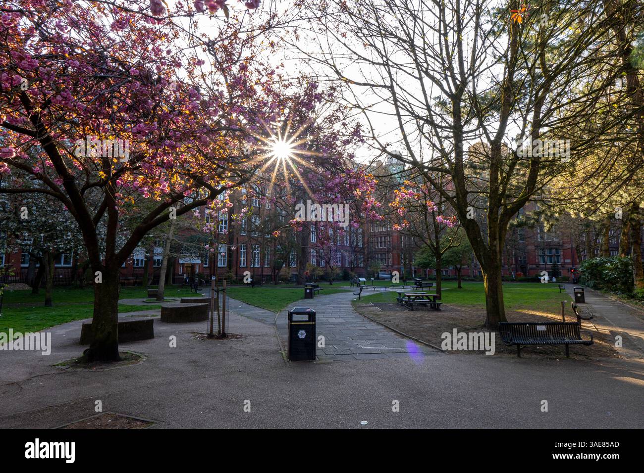 Image d'un lever de soleil aux jardins de Sackville à Manchester - à côté du village gay. Banque D'Images