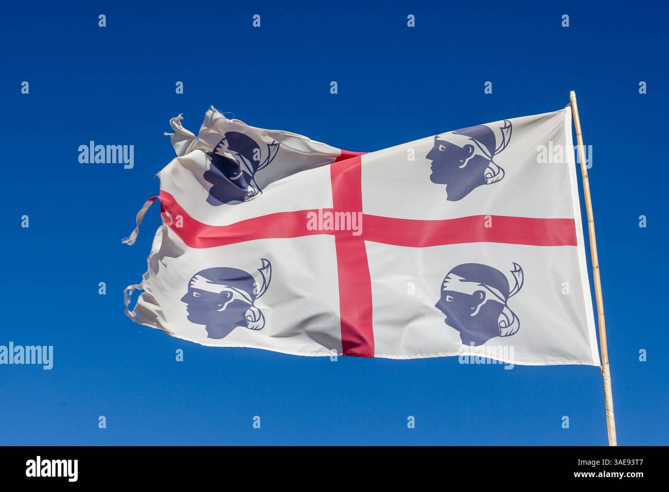 Armoiries Du Drapeau De La Sardaigne Sweatshirts Et Sweats à