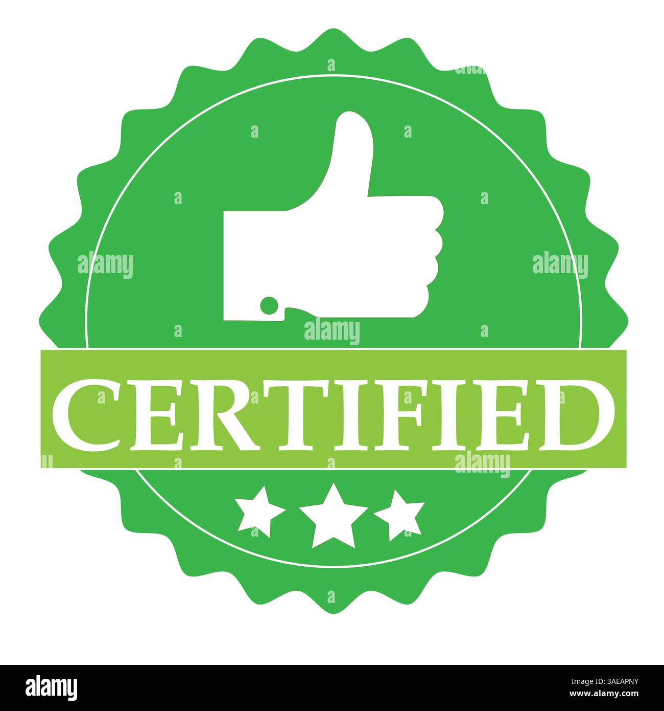 Green Certified badge Vector Thumbs Up Seal d'approbation pour l'assurance qualité et la certification officielle Illustration de Vecteur