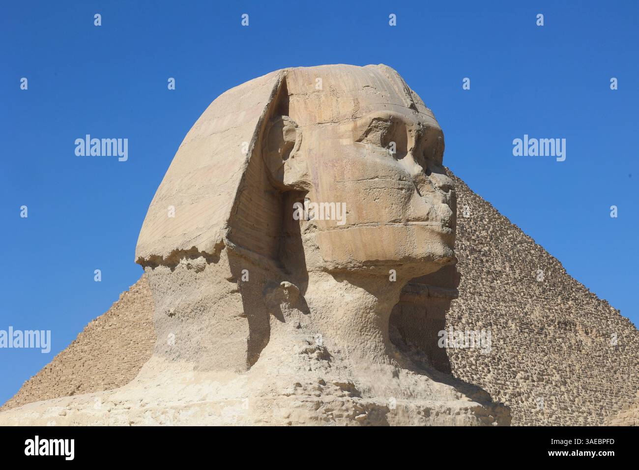 Vue latérale rapprochée des têtes de la statue du Sphinx avec la Grande Pyramide en arrière-plan Banque D'Images