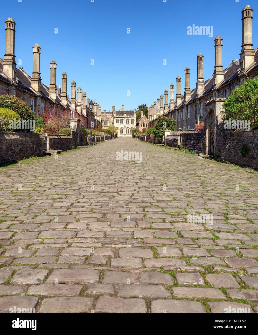 Maisons médiévales de Vicar's Close à Wells Somerset UK construites pour abriter les choristes de la cathédrale de Wells Banque D'Images