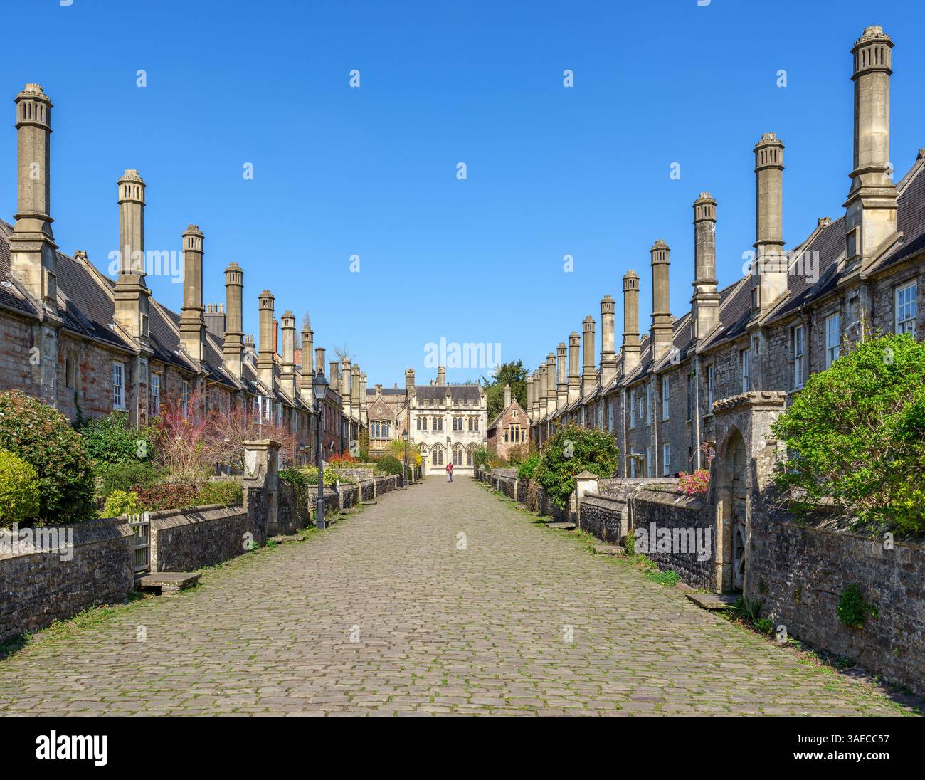 Maisons médiévales de Vicar's Close à Wells Somerset UK construites pour abriter les choristes de la cathédrale de Wells Banque D'Images