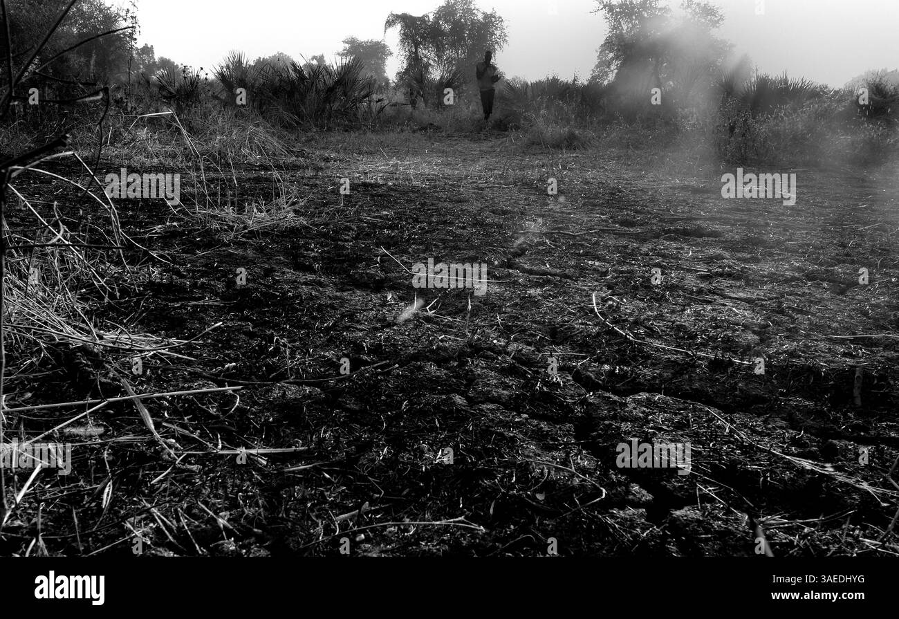 9 janvier 2012 - Boung, Comté de Malban, Soudan du Sud - les arbres et les broussailles sont brûlés pour faire place à de nouvelles tentes et réfugiés et pour débarrasser les hautes herbes des serpents, des tiques et des scorpions. Des images ont été prises lors d'une mission de secours médical pour Seattle, WA., Medical Teams Worldwide dans la région du Haut Nil au Soudan du Sud du 14 au 19 novembre 2011, où des réfugiés se massent à Doro, un petit village situé à cinq kilomètres à l'est de Boung, dans le comté de Maban, en raison du bombardement des régions du Nord-Soudan du Bleu et du Haut Nil pour expulser les agriculteurs indigènes, dont beaucoup ont voté avec le Sud lors du référendum de juillet 2011 Banque D'Images