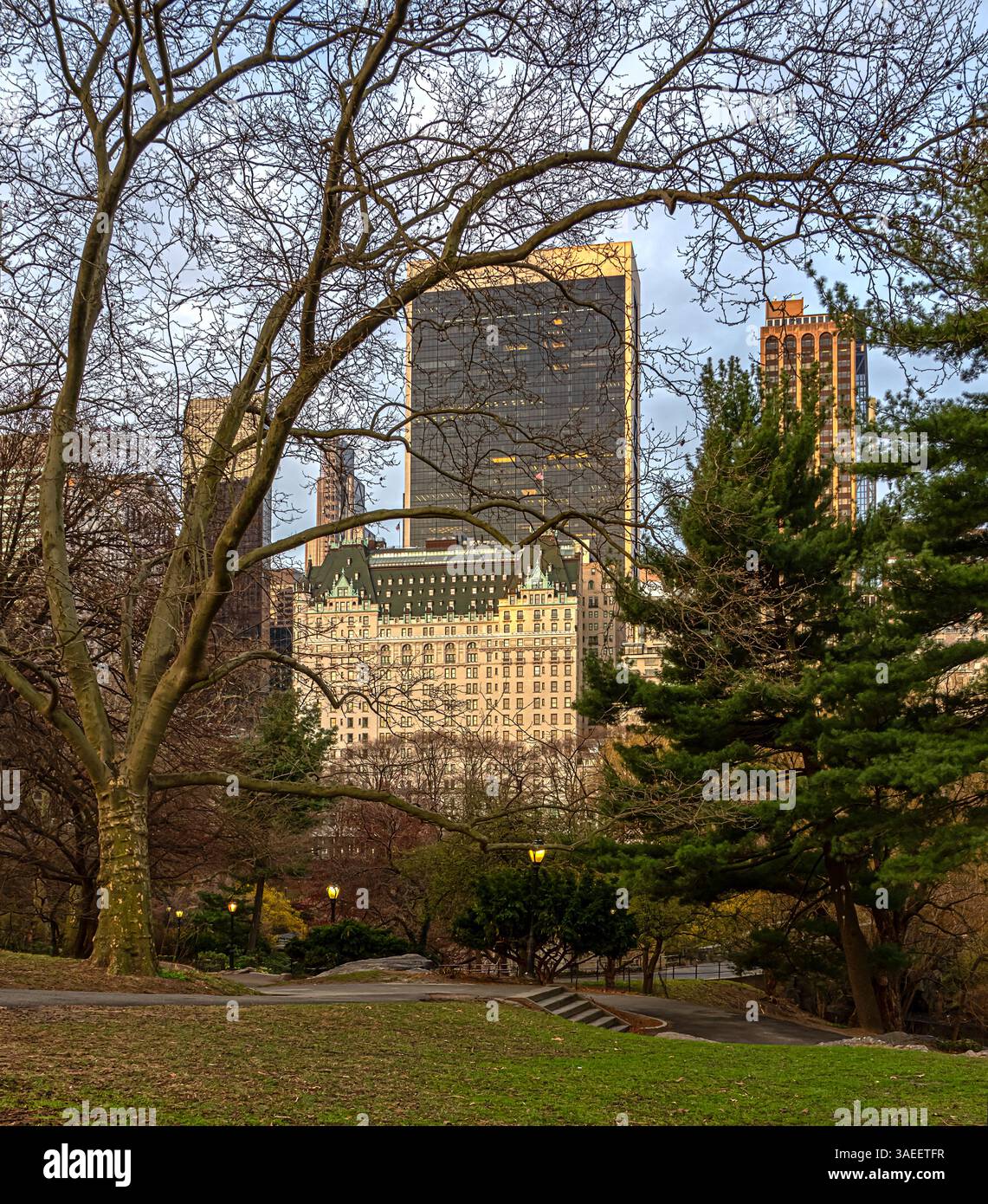 Le printemps à Central Park, New York City Banque D'Images