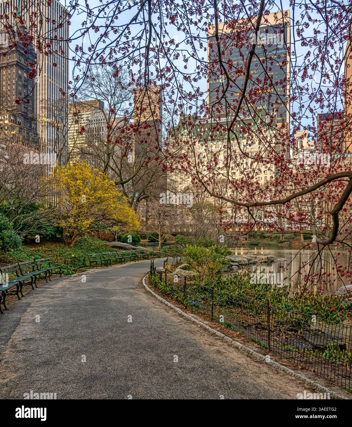 Gapstow Bridge in Central Park Banque D'Images