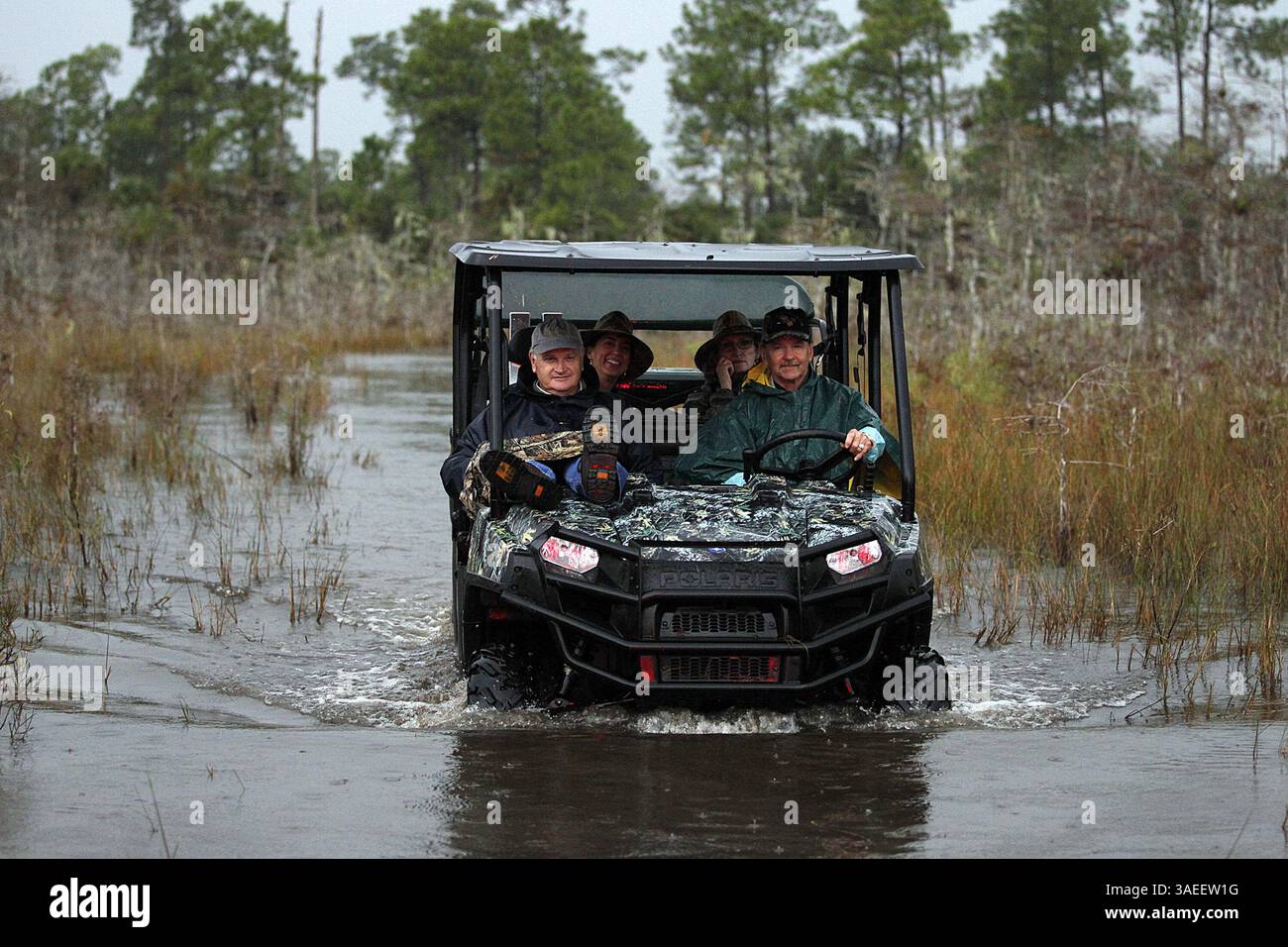 10 novembre 2011 - Big Cypress Swamp, FL, USA - Ron Bergeron emmène les visiteurs dans une visite du Big Cypress Swamp en Floride le 10 novembre 2011, où il a un camp à proximité. (Crédit image : © Charles Trainor Jr/Miami Herald/MCT/ZUMAPRESS.com) Banque D'Images