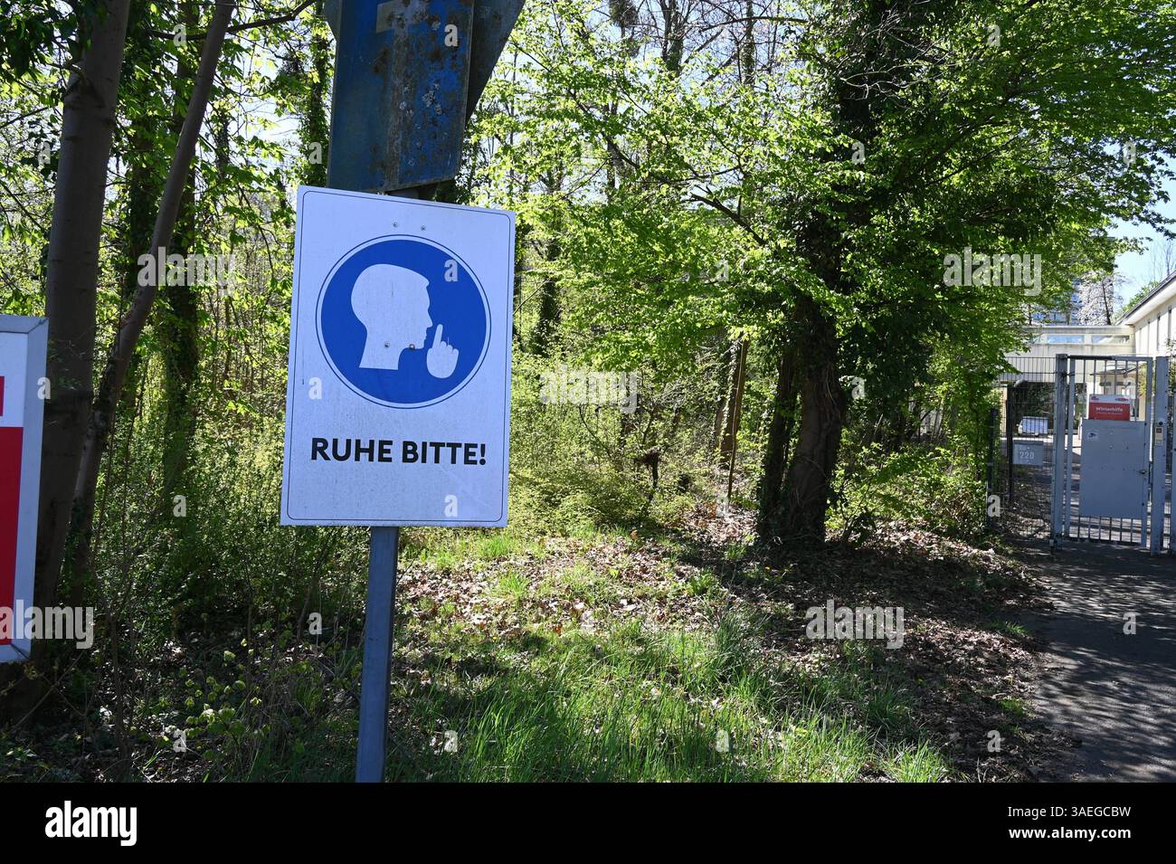 Gebotsschild, Ruhe bitte an einem Wald *** signe obligatoire, calme s'il te plaît à une forêt Banque D'Images Gebotsschild, Ruhe bitte an einem Wald *** signe obligatoire, calme s'il te plaît à une forêt Banque D'Images