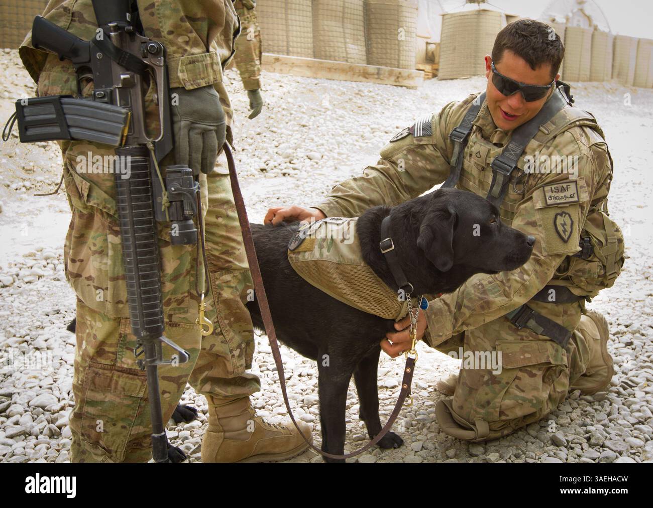 Dec. 21, 2011 - Kandahar, Afghanistan - PFC CHRISTOPHER SAUBER, 24 ans, d'Athens, OH, Sgt. De 1re classe Zeke, au quartier général de brigade situé dans la province de Kandahar, Afghanistan. Zeke fait partie du 113e détachement médical combat stress Control offre un soutien aux soldats de la Task Force Arctic Wolves de ft. Wainwright, Alaska (crédit image : © JR Ancheta/ZUMAPRESS.com) Banque D'Images