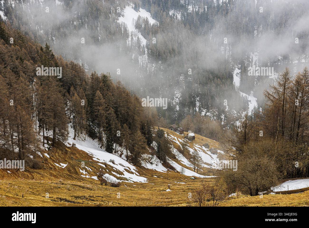 Pente arborée avec des vestiges de neige et des cabanes alpines, près de Chandolin, Val d'Anniviers, Alpes valaisannes, Canton Valais, Suisse, Europe Banque D'Images