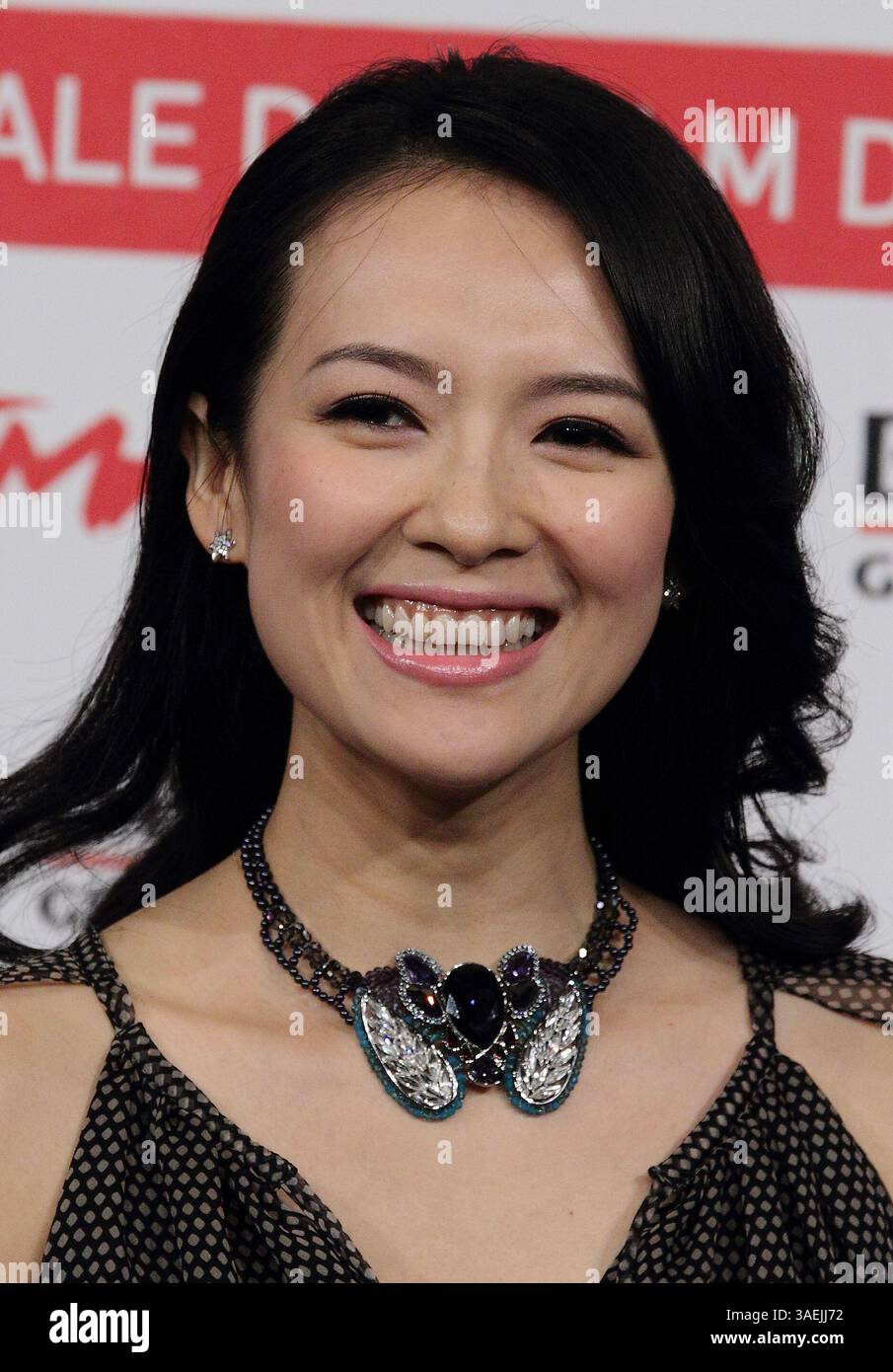 2 nov. 2011 - Rome, Italie - L'actrice ZHANG ZIYI lors de l'appel photo ''amour pour la vie'' au Festival du film de Rome 2011. (Crédit image : © Evandro Inetti/ZUMAPRESS.com) Banque D'Images
