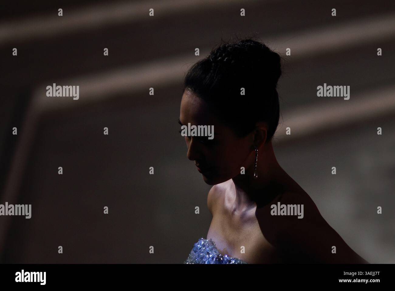 2 novembre 2011 - Rome, Italie - L'actrice ZHANG ZIYI assiste au tapis rouge ''amour pour la vie'' au Festival du film de Rome 2011. (Crédit image : © Evandro Inetti/ZUMAPRESS.com) Banque D'Images