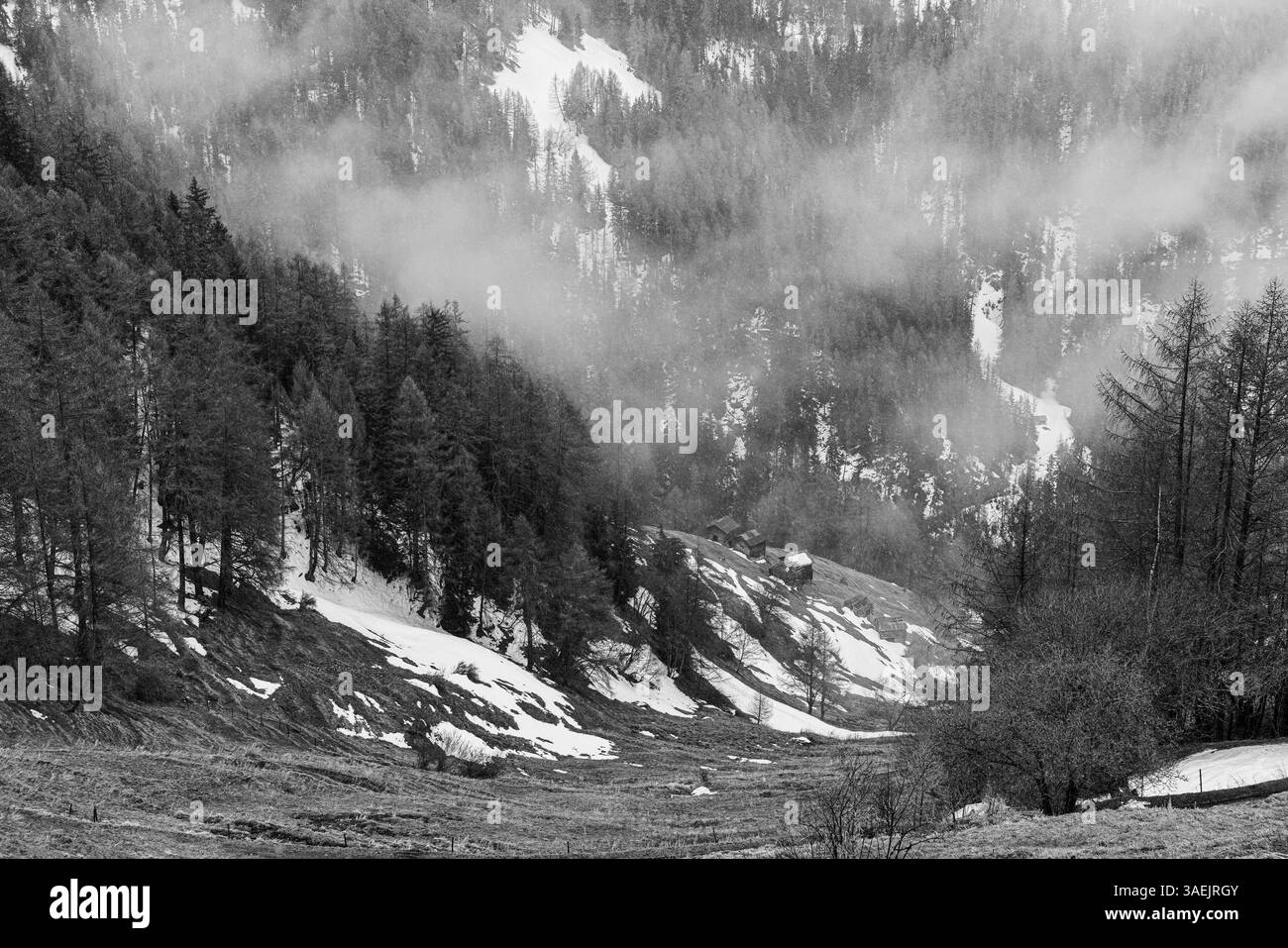 Pente arborée avec des vestiges de neige et des cabanes alpines, photographie en noir et blanc, près de Chandolin, Val d'Anniviers, Alpes valaisannes, canton valaisan, commutateur Banque D'Images