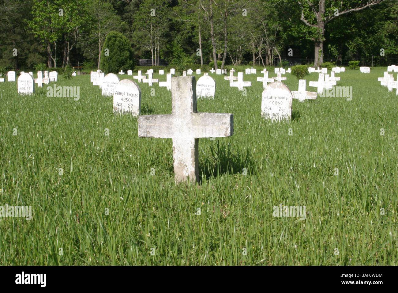 13 avril 2005 ; Huntsville, TX, États-Unis ; cimetière des geôliers de Huntsville. L'unité d'exécution basée au Texas à Huntsville, également connue sous le nom de « The Walls Unit », en raison des murs de briques qui entourent la prison, abrite le couloir de la mort, où les condamnés sont détenus dans de petites cages de verre et d'acier pendant 23 heures toutes les 24 heures. Au moins 341 prisonniers ont été exécutés au Texas depuis 1982. Crédit obligatoire : photo de Nadav Neuhaus/ZUMA Press. (©) Copyright 2005 par Nadav Neuhaus Banque D'Images