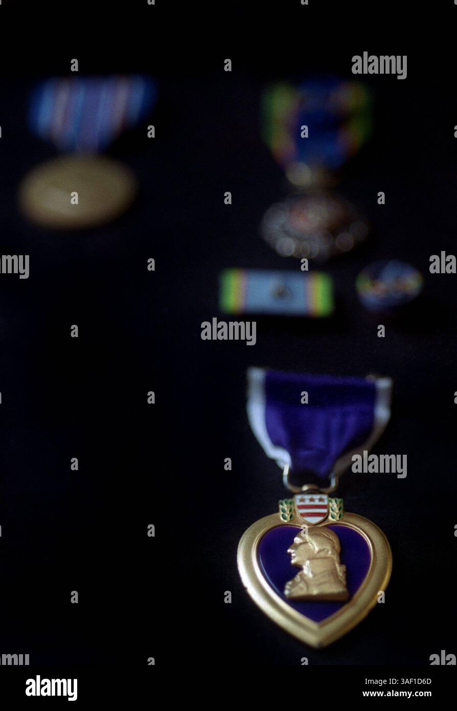 Anthony Poshepny (cq), également connu sous le nom de Tony Poe, a reçu quatre Purple Hearts dont un est vu ici dans sa maison de San Francisco, CA. Mercredi soir. En 1960, lorsque la CIA a décidé de lancer une guerre secrète au Laos contre les communistes, ils se sont tournés vers Tony Poe, un ex-Marine qui buvait dur et qui était l'un des hommes les plus courageux (ou les plus fous) que la CIA avait jamais produits. 8/23/00 (Sacramento Bee/Jose M. Osorio) The Sacramento Bee/ZUMA Press Banque D'Images