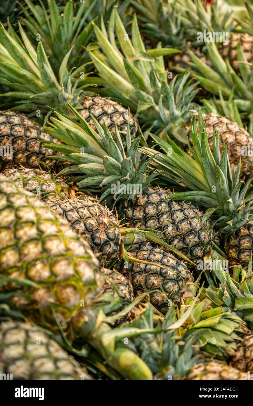 Étagères d'ananas dans le marché de fruits Banque D'Images