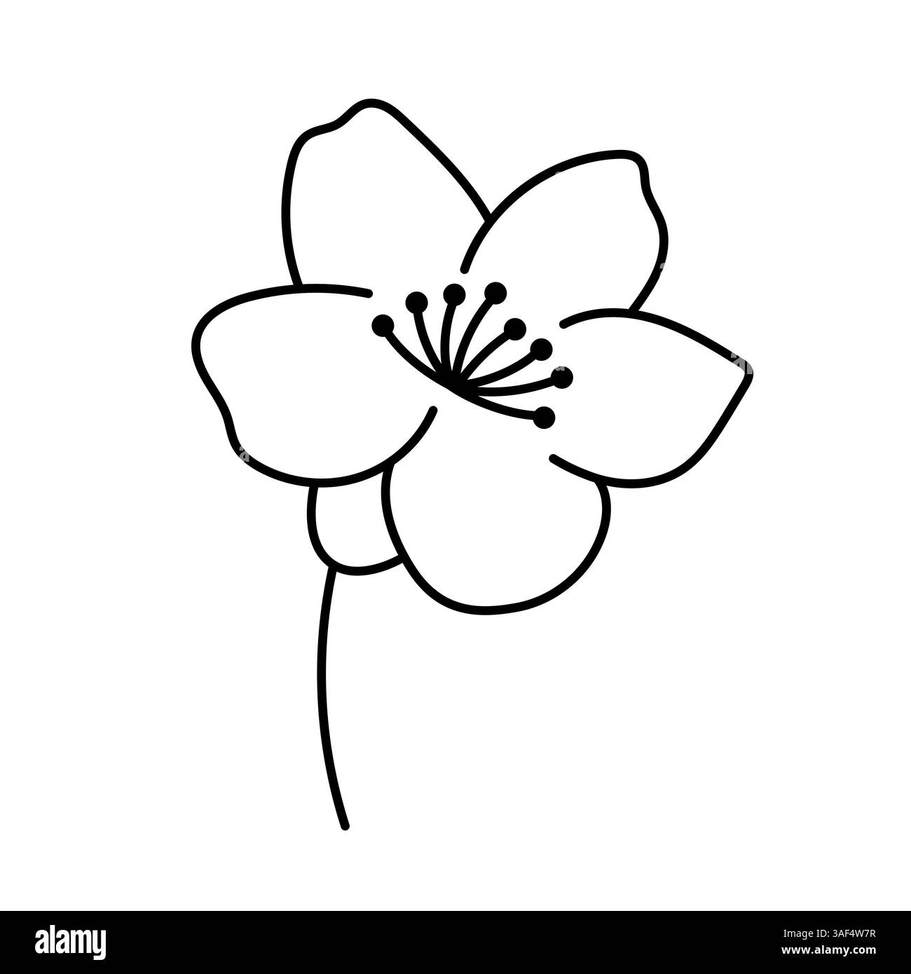 Fleur de cerisier. Illustration de contour. Griffonner. Fleur de cerise dessinée à la main isoler sur blanc. Icône de bourgeon Sakura. Illustration de Vecteur