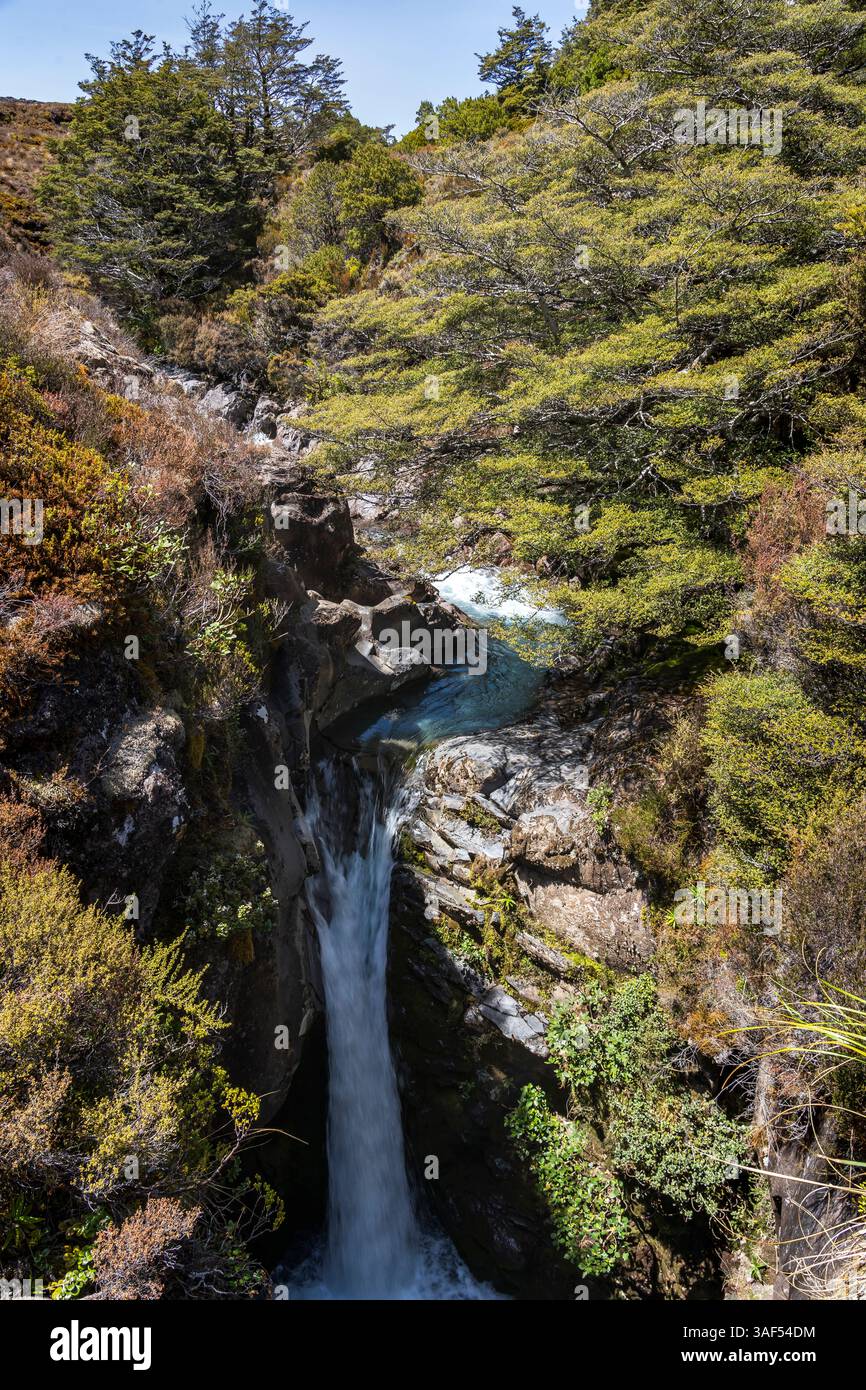 Cascades et rivières accidentées du parc national de Tongariro Banque D'Images