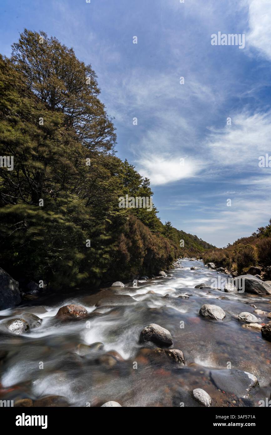 Cascades et rivières accidentées du parc national de Tongariro Banque D'Images