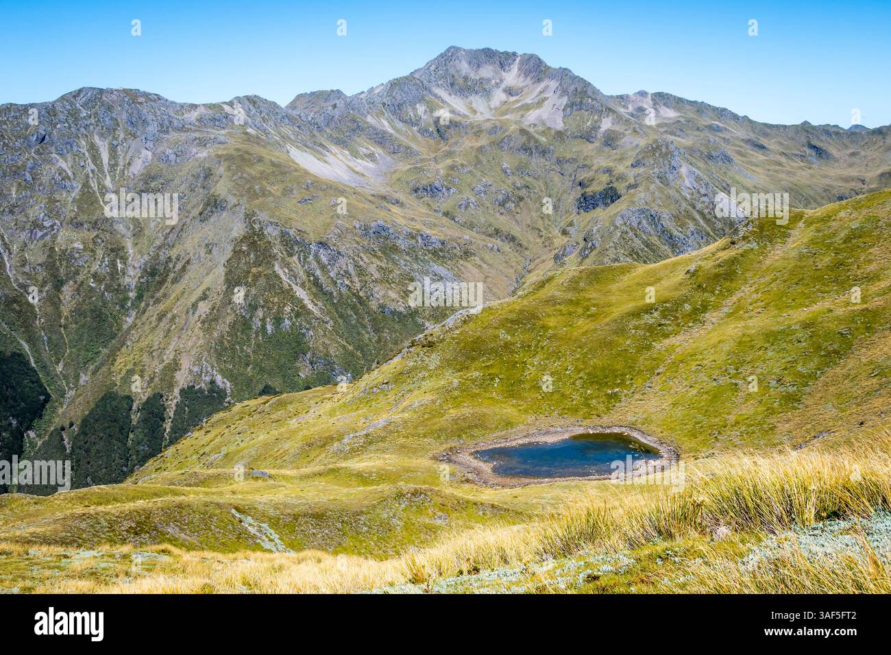 Tarn, Lewis Tops Walking route, Lewis Pass, Canterbury, Île du Sud, Nouvelle-Zélande. Deer Valley et Mount Technical en distance. Banque D'Images