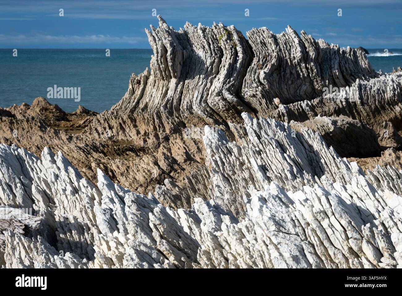 Roches pliées, Kaikoura, Canterbury, Île du Sud, Nouvelle-Zélande Banque D'Images