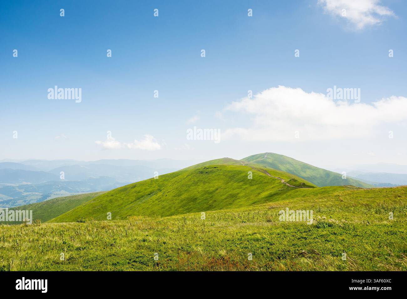 paysage montagneux des carpates de l'ukraine en été. vue panoramique sur les hauts plateaux. magnifique paysage naturel de prairie herbeuse alpine et collines verdoyantes sur un da ensoleillé Banque D'Images