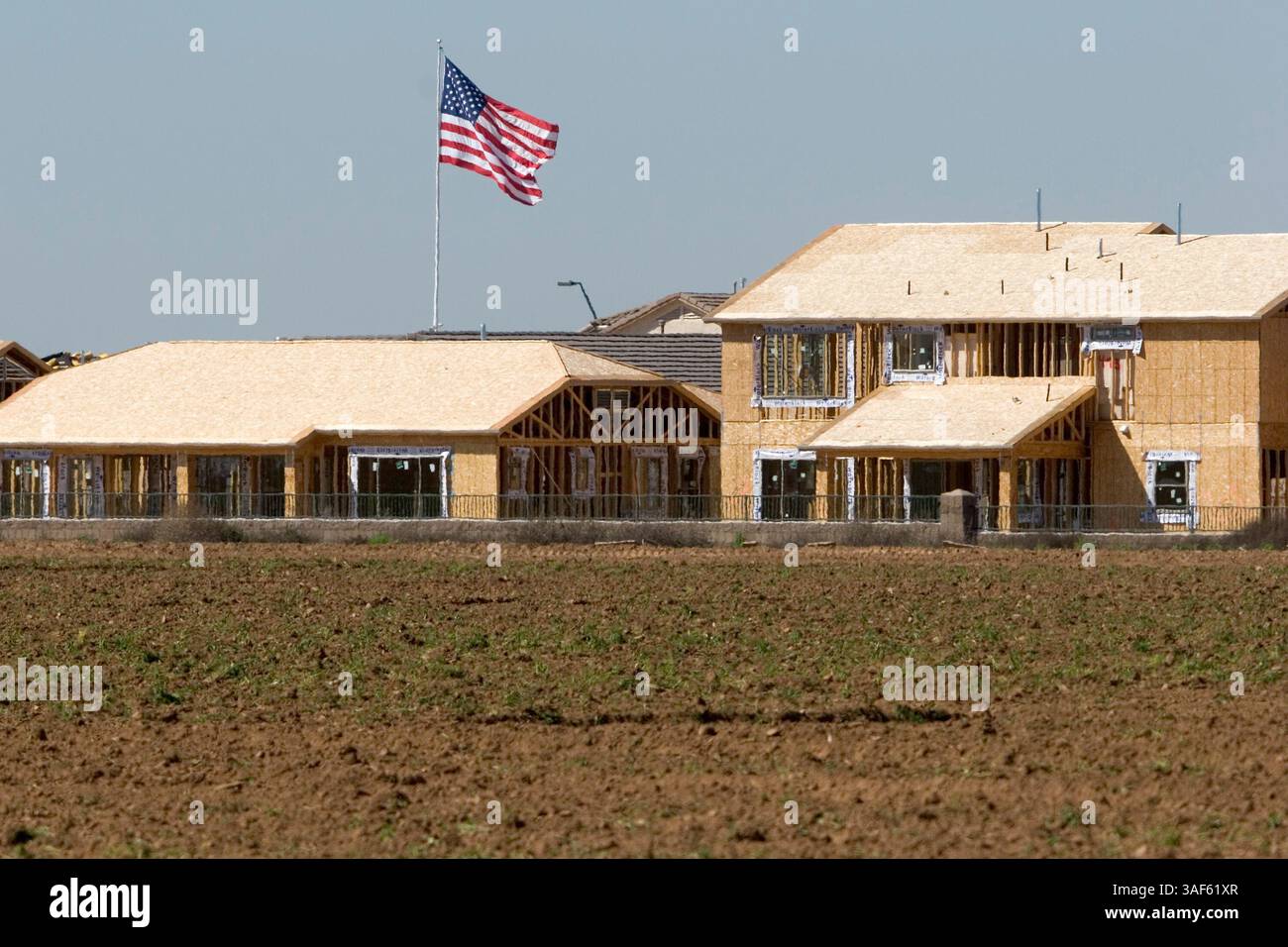 12 mars 2005 ; Queen Creek, Arizona, États-Unis ; maisons en construction à côté d'un champ de coton vacant à Queen Creek, AZ. Queen Creek était autrefois une petite communauté agricole à environ 50 milles au sud-est de Phoenix, mais au cours des cinq dernières années, le développement résidentiel a remplacé l'agriculture et maintenant la ville est pratiquement une banlieue de Phoenix. Depuis 1980, les terres agricoles de la région de Phoenix ont disparu au rythme d'environ 300 milles carrés par décennie. La majeure partie du terrain a été consacrée au développement résidentiel et les fermes jusqu'à 100 milles de Phoenix sont achetées par des promoteurs pour le développement résidentiel Banque D'Images