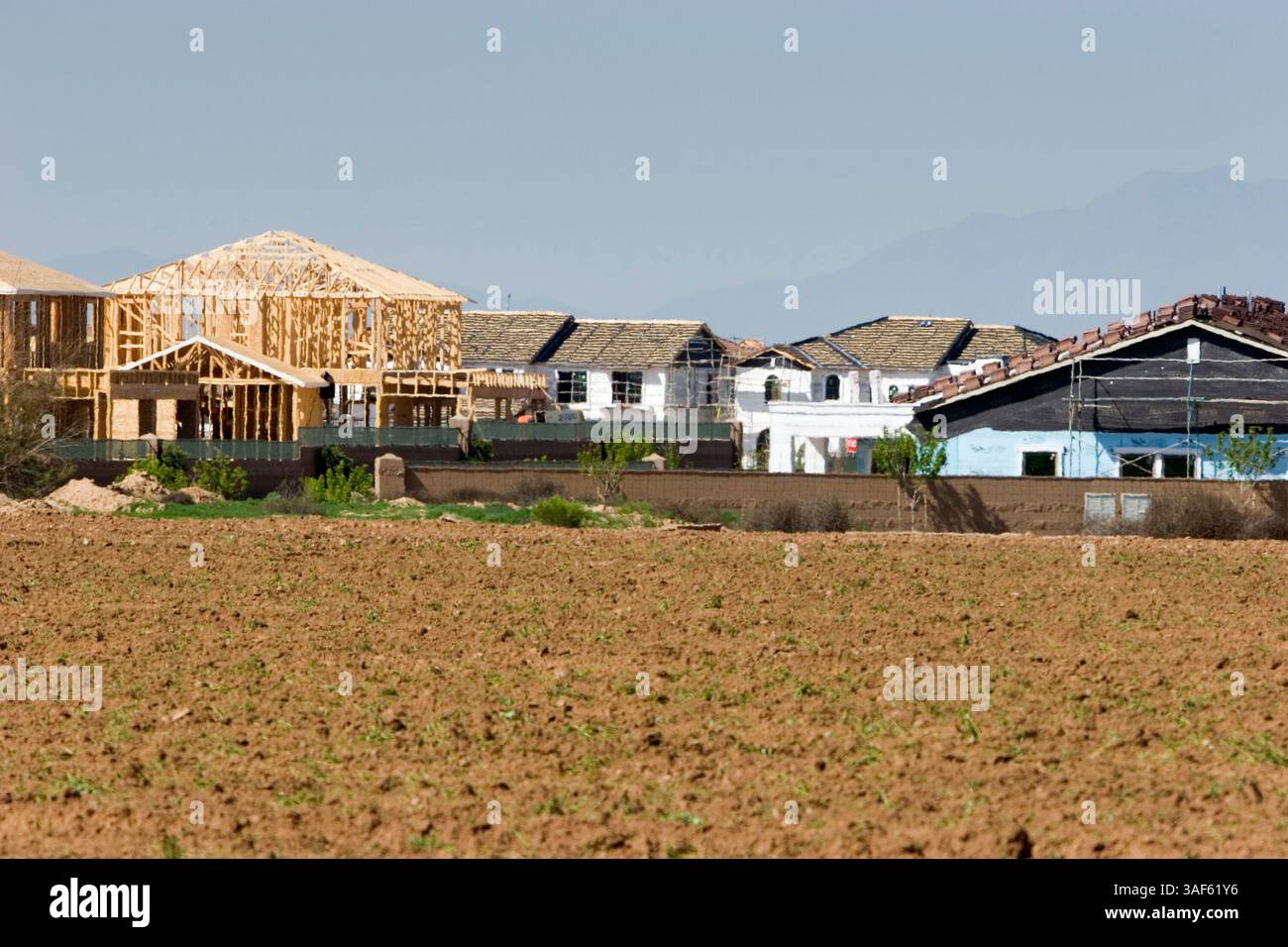 12 mars 2005 ; Queen Creek, Arizona, États-Unis ; maisons en construction à côté d'un champ de coton vacant à Queen Creek, AZ. Queen Creek était autrefois une petite communauté agricole à environ 50 milles au sud-est de Phoenix, mais au cours des cinq dernières années, le développement résidentiel a remplacé l'agriculture et maintenant la ville est pratiquement une banlieue de Phoenix. Depuis 1980, les terres agricoles de la région de Phoenix ont disparu au rythme d'environ 300 milles carrés par décennie. La majeure partie du terrain a été consacrée au développement résidentiel et les fermes jusqu'à 100 milles de Phoenix sont achetées par des promoteurs pour le développement résidentiel Banque D'Images