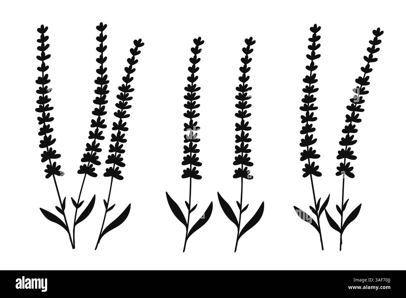 Silhouette Lavande illustration florale. Cette œuvre d'art botanique présente des éléments floraux simples mais élégants, parfaits pour une utilisation dans les motifs, les papiers peints, t Illustration de Vecteur