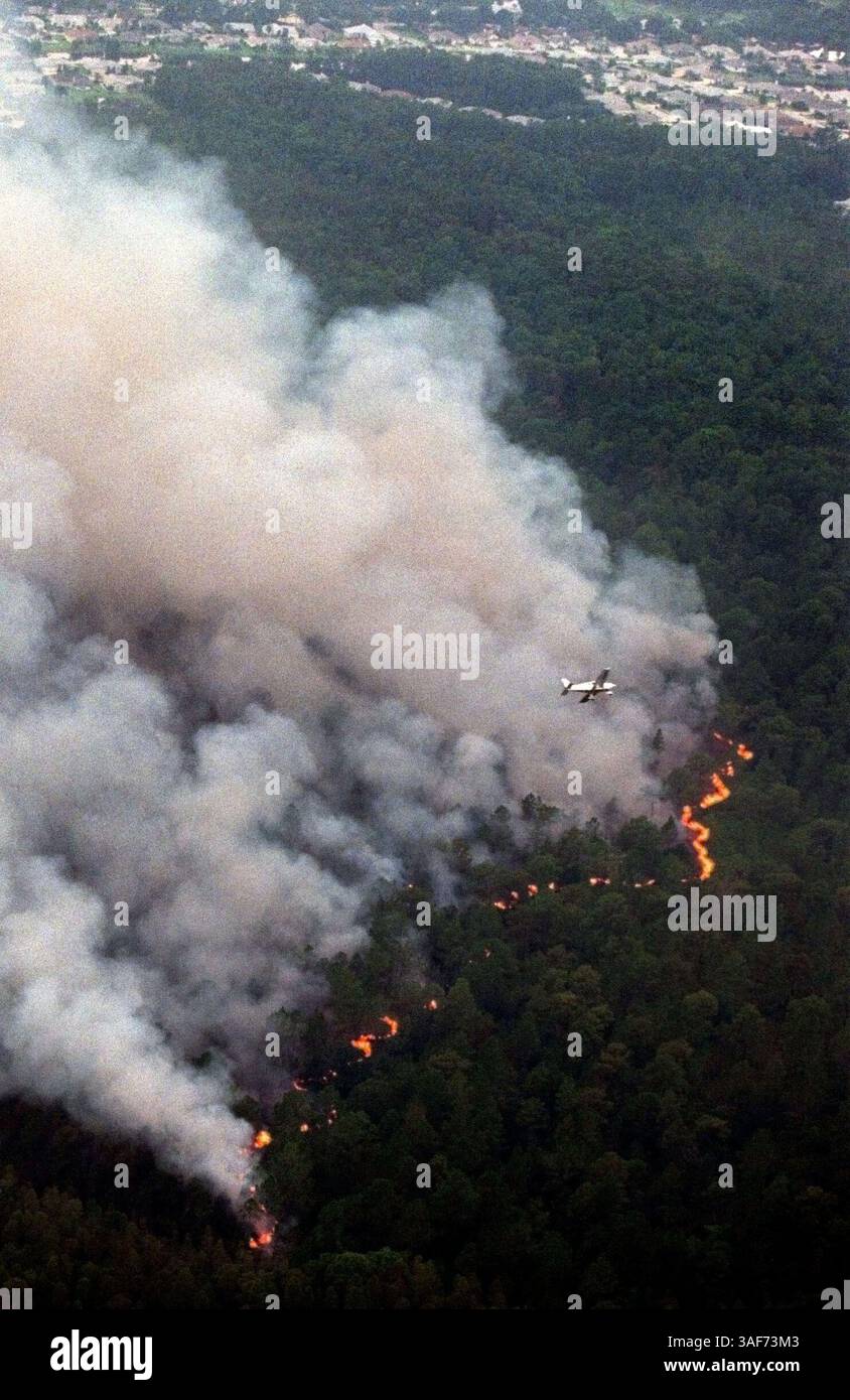 SP.89797.- - LIVRER À :.METRO.- -.8/2/99.- -.PRÉPARER Pete.- -. LÉGENDE INFO : -1/1- Un feu de broussailles brûle dans la région de East Lake, dans le nord du comté de Pinellas. - -. Photo par :. Dirk Shadd.- -. Histoire par :..- -. SCANNÉ PAR :..- - DATE D'EXÉCUTION : .8/3/99 (image crédit : St Petersburg Times/ZUMAPRESS.com) Banque D'Images