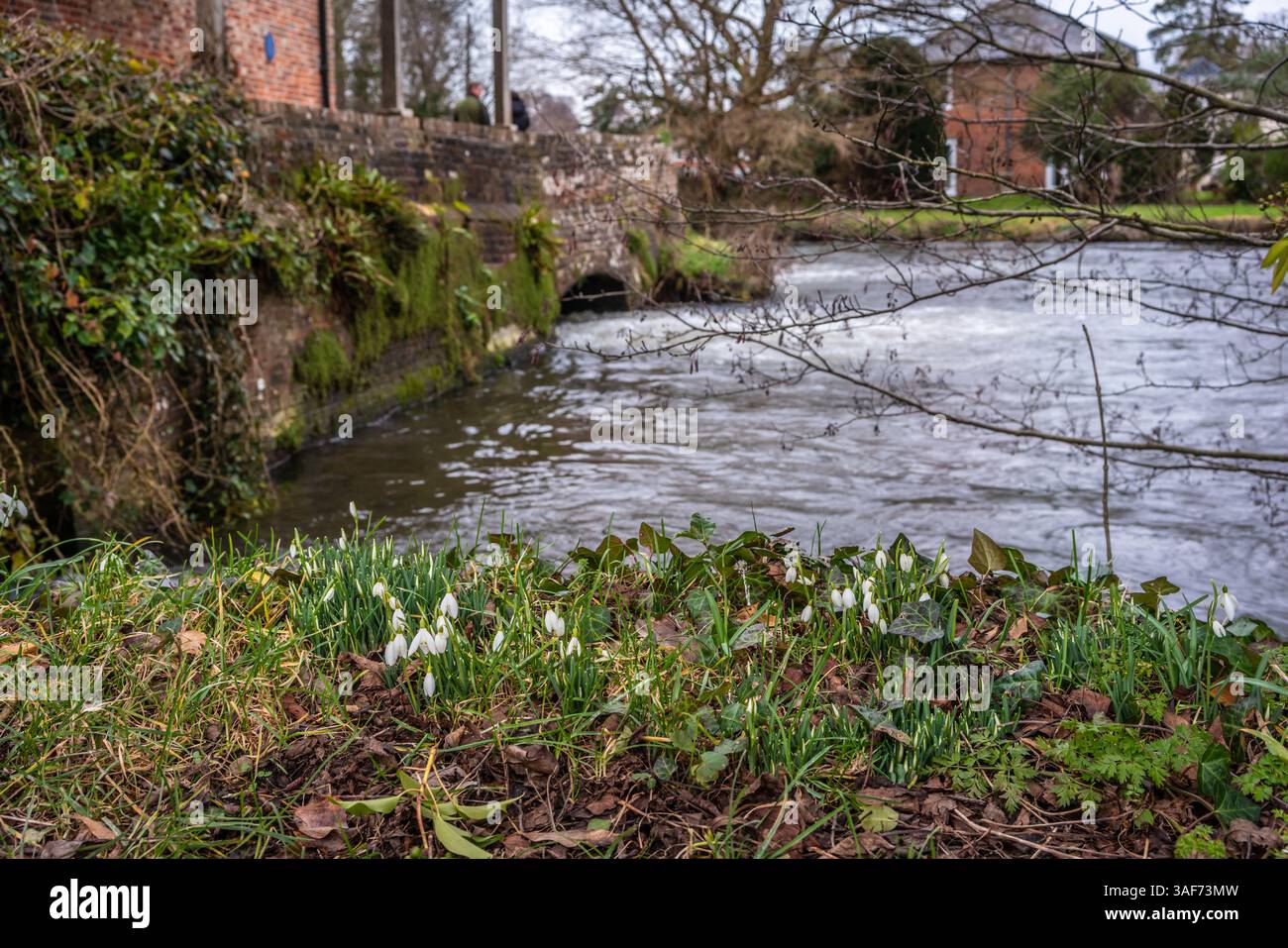 La neige tombe à l'extérieur de Sadler's Mill le long de la rivière test à Romsey, Hampshire, Angleterre, Royaume-Uni Banque D'Images