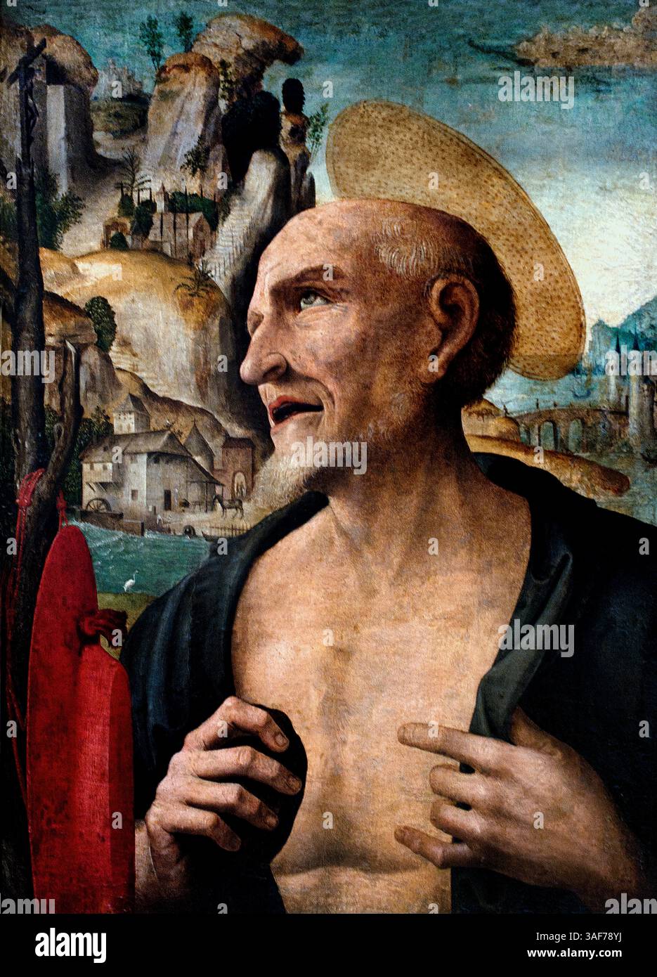 Saint Jérôme en pénitence par Giovanni Francesco Maineri 1484-1506 Italie Italien , Louvre Paris. Banque D'Images