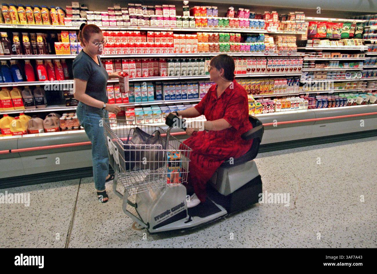 SP.93252.- - LIVRAISON À :.Metro/a.- -.10/11/1999..St.Pete.LÉGENDE INFO :. Photos de Sarah Macleod (crédit image : St Petersburg Times/ZUMAPRESS.com) Banque D'Images