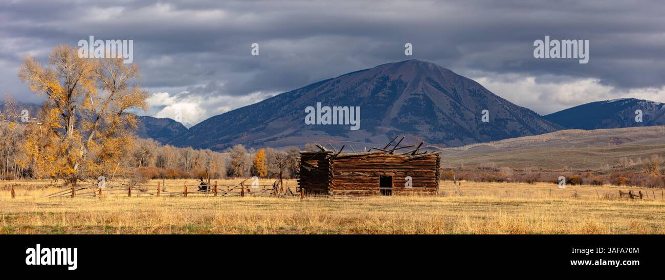 Les dernières couleurs de l'automne s'accrochent à côté d'une vieille cabane lob dans la vallée de l'Ohio à l'extérieur de Gunnison Colorado. Le pic de carbone (12,088') dans les ombres s'élève au-dessus. Banque D'Images
