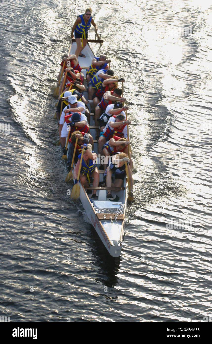 LÉGENDE : (TAMPA - 24/08/2005) : . Le Tampa Bay Dragon Boat Club pratique en préparation pour une course à Miami les 22 et 23 octobre 2005, situé dans le bassin tournant du canal de garnison, à Tampa, Floride, mercredi 24 août, 2005. Christine Boudreau, (image crédit : St Petersburg Times/ZUMAPRESS.com) Banque D'Images