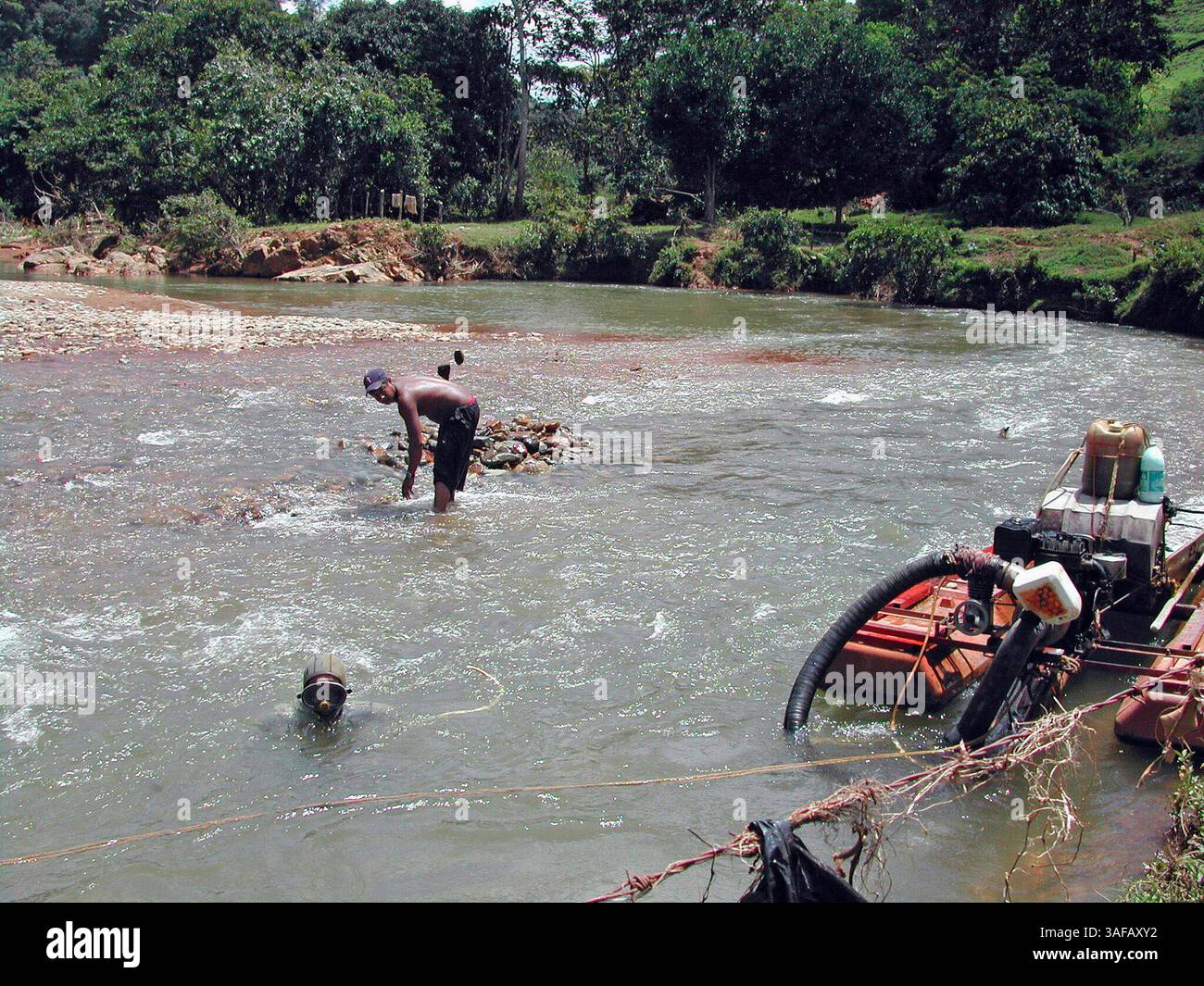 Nom du fichier : cocagold2.JPG.photo (crédit image : St Petersburg Times/ZUMAPRESS.com) Banque D'Images