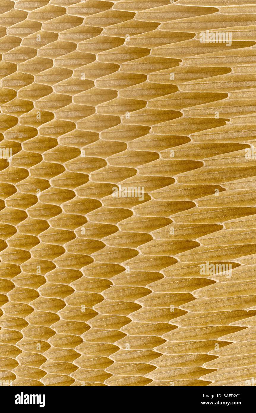 Cellules creuses de structure en nid d'abeilles en fibre de verre ou un autre matériau composite, gros plan, fond industriel abstrait Banque D'Images