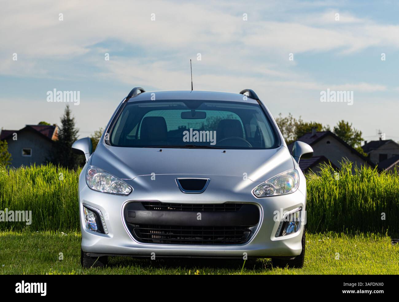 Une voiture moderne argentée est garée dans un champ sous un ciel bleu clair, mettant en valeur son design élégant et la symétrie des phares. Banque D'Images