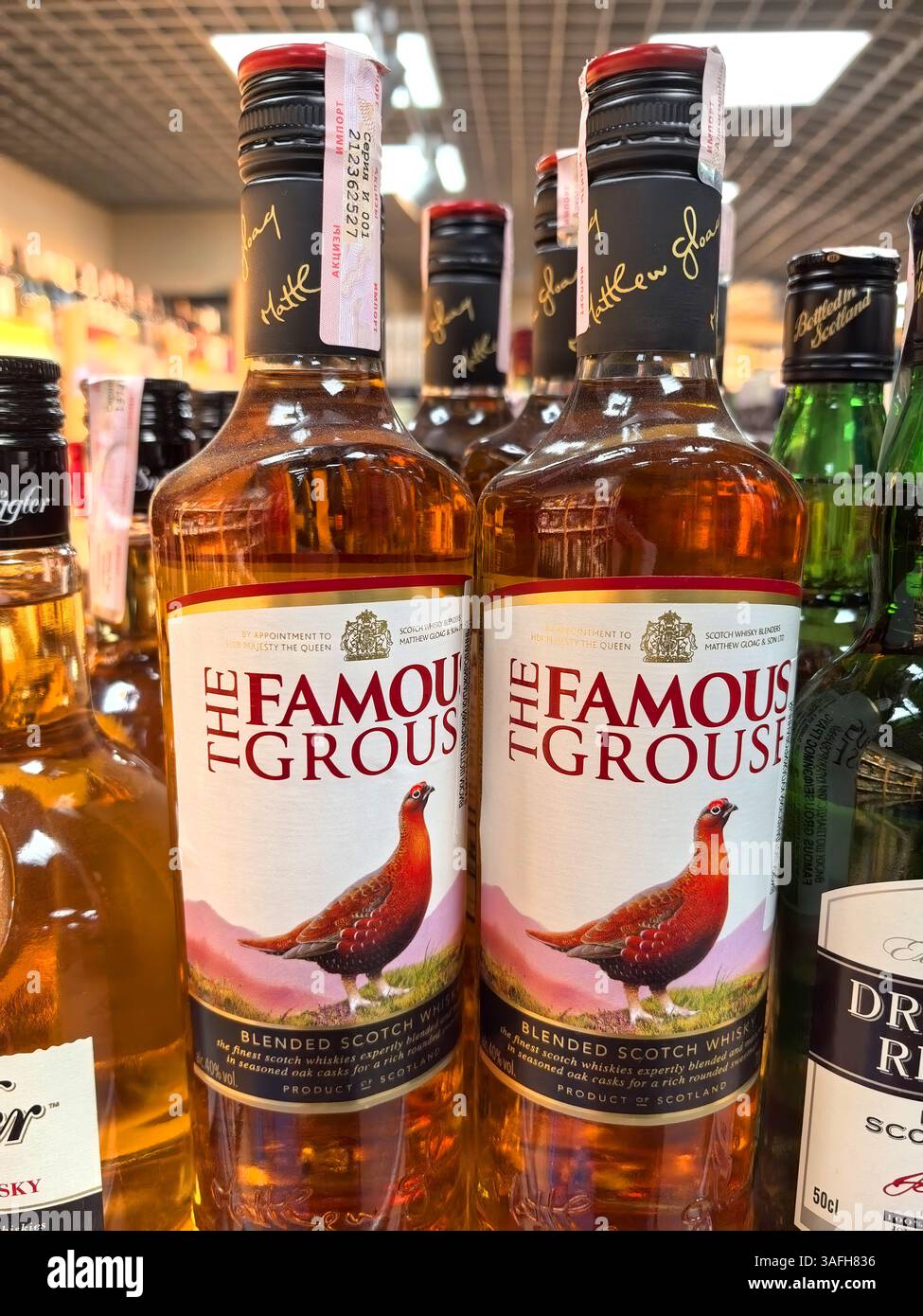 Bobruisk, Biélorussie - 10 mars 2025 : deux bouteilles de whisky scotch mélangé sont bien en vue sur une étagère dans un magasin de spiritueux dynamique. Banque D'Images