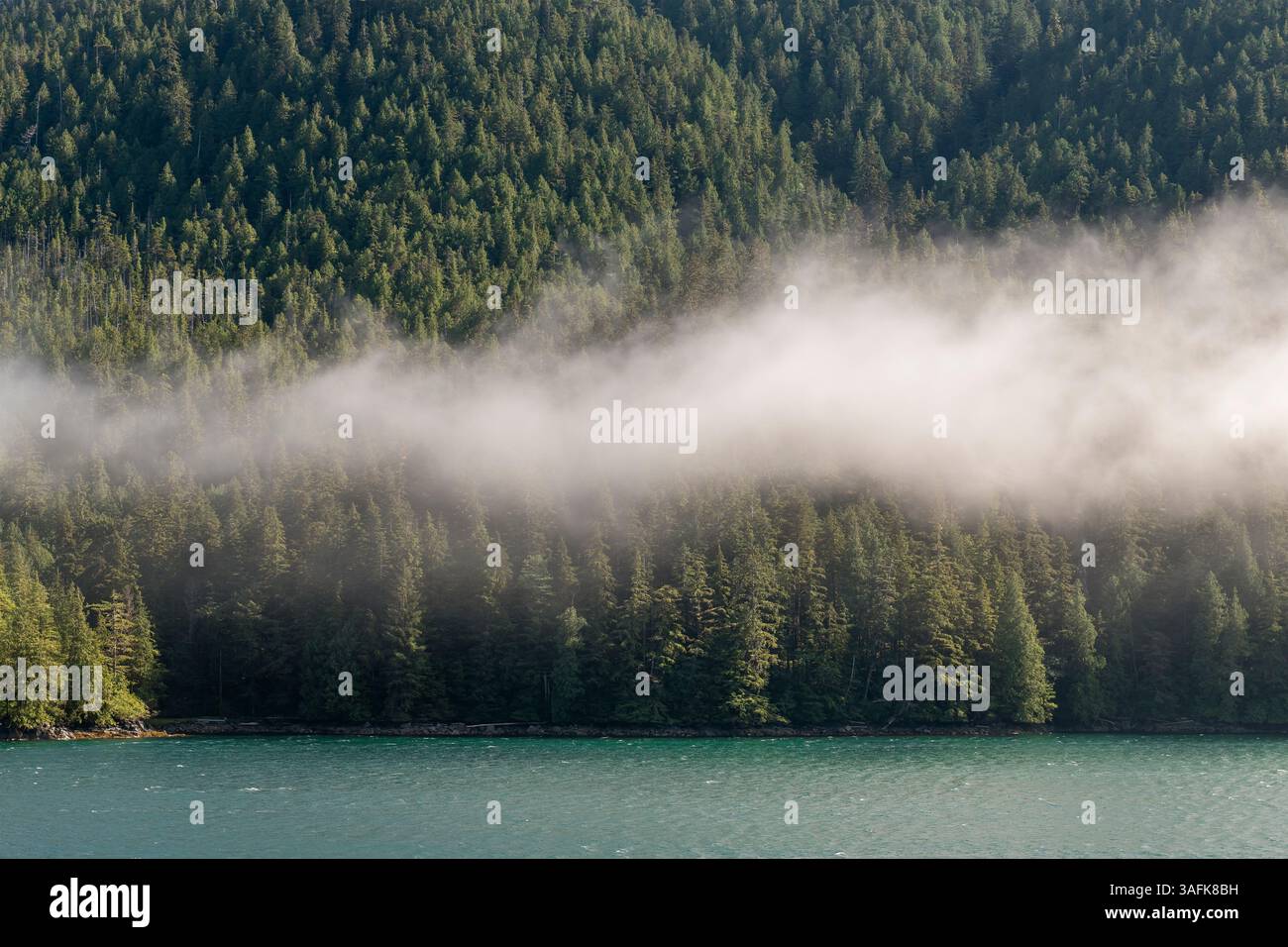 Île avec forêt de pins et de cèdres le long du passage intérieur croisière entre Prince Rupert et Port Hardy, île de Vancouver, Colombie-Britannique, Canada. Banque D'Images
