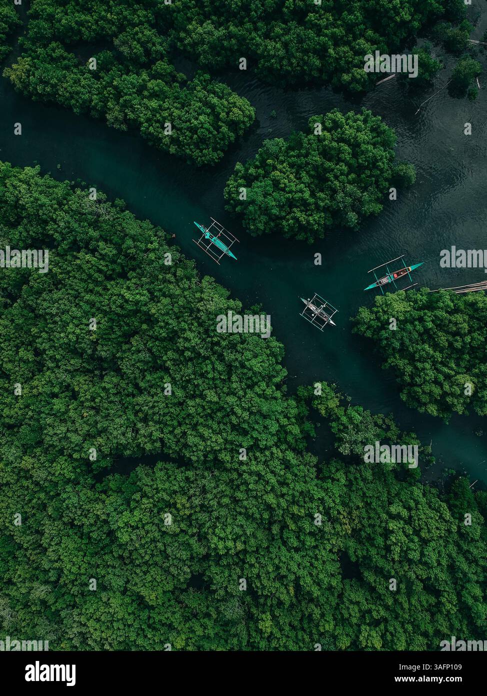 Vue aérienne des bateaux philippins traditionnels naviguant à travers les forêts luxuriantes de mangrove aux Philippines, mettant en valeur la beauté naturelle et la biodiversité Banque D'Images