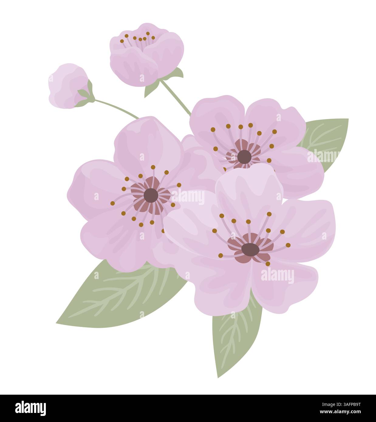 Bouquet de fleurs florales de cerisier printanier Illustration de Vecteur