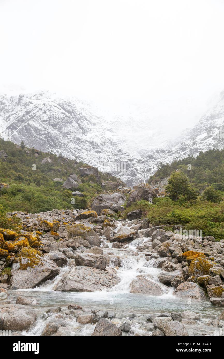 Paysage de Patagonie dynamique : ruisseau serein et au milieu des rochers avec de la mousse de couleur rouille. Des teintes chaudes contrastent avec une végétation luxuriante et des eaux cristallines, captur Banque D'Images