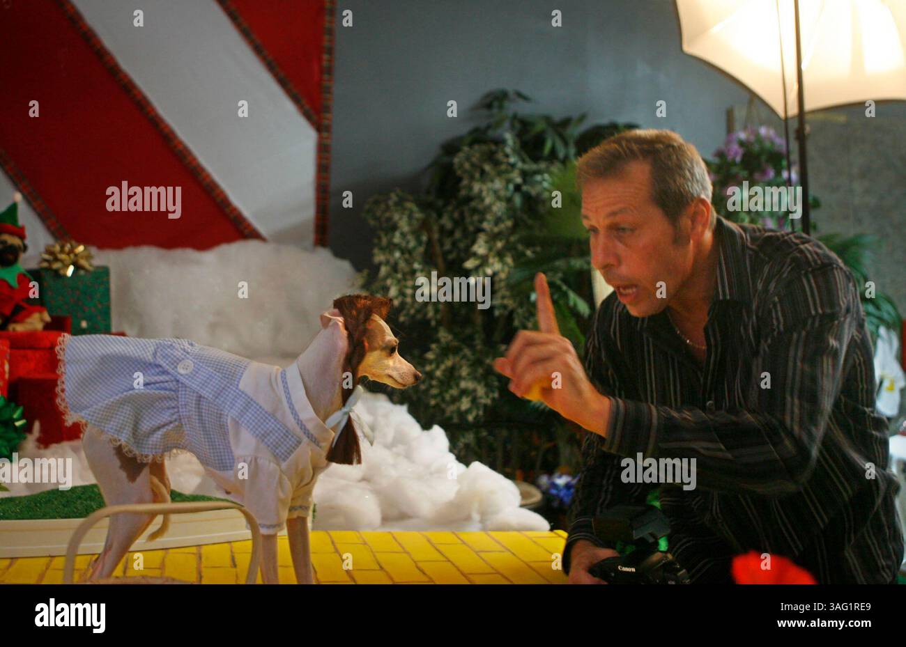 LARGO 10/12/2007 ) photo #1. Steve Bennett implore ''Trixie'', propriété de Judy Molnar Wilson de Palm Harbor, de rester immobile. - Steve Bennett, qui possède et exploite Top Dog Pet Photography. Il a quelques 10 décors de scène différents pour les toggies et leurs propriétaires : Paw House salon occidental, Bath Time avec baignoire rouge, cadre de l'île avec de vrais sable et palmiers, ensembles de vacances, etc Il a un livre qui sort l'année prochaine - ''Life Styles of the rich & Furry'' mettant en vedette des célébrités et leurs animaux de compagnie. C'est pour amasser de l'argent pour diverses chartieis, chaque célébrité sélectionne l'organisme de bienfaisance auquel l'argent doit aller. JI Banque D'Images