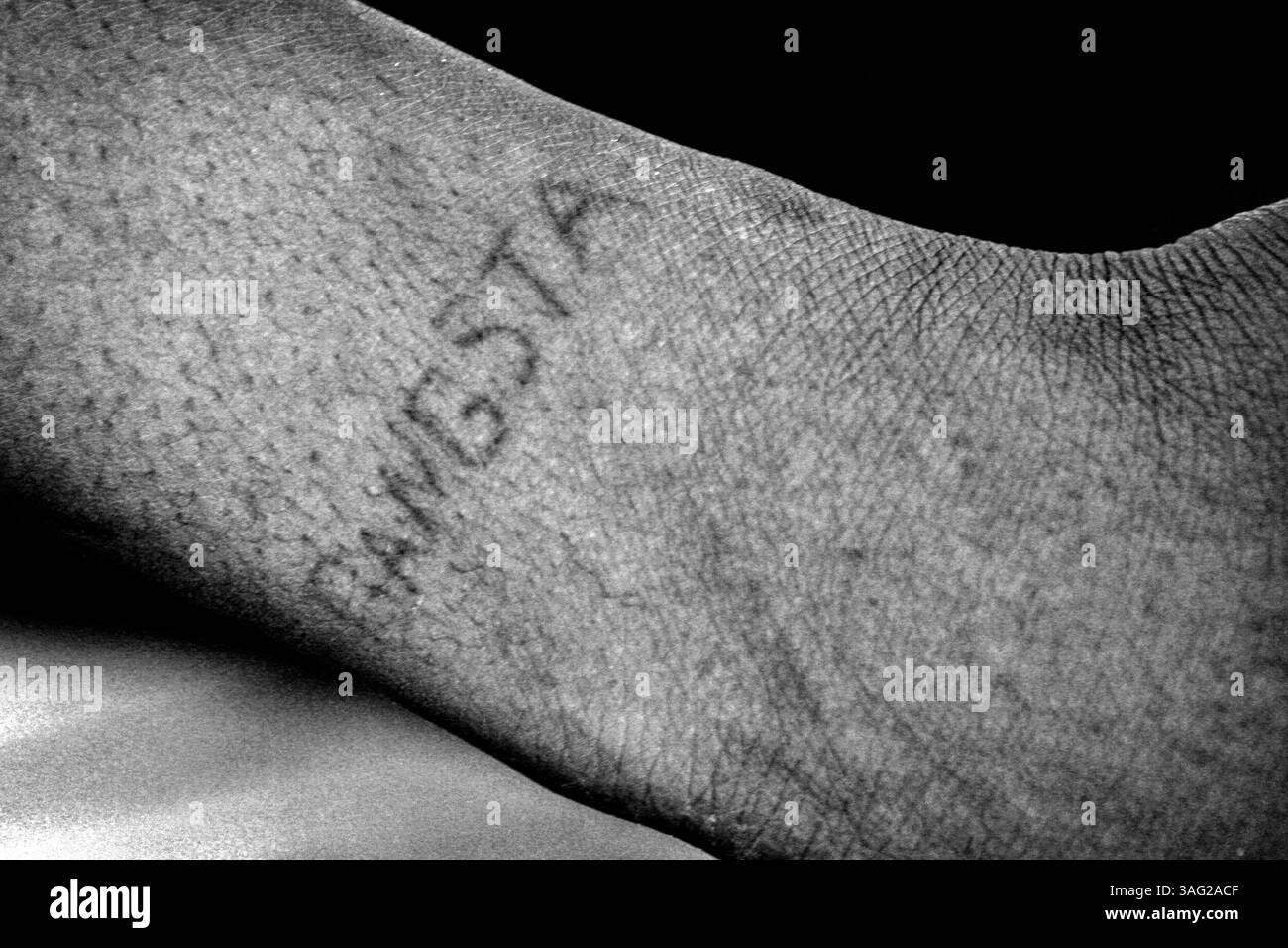 Apr 01, 2008 - Petersburg, Florida, USA - LEON ADAMS' avant-bras droit porte encore un tatouage 'Gangsta' près de son poignet. « Survivre et surmonter tous les obstacles qui se présentent à vous en tant qu'enfant est incroyable », dit Adams. C'est pourquoi beaucoup de gens qui ne le font jamais. Ils n'ont pas les opportunités, ils n'ont pas les bonnes personnes autour d'eux pour les encourager à être meilleurs. Tout ce que vous avez, ce sont les modèles négatifs. » Le gardien de notre frère est un programme du comté de Pinellas pour les détenus atteints de maladie mentale. Ça a aidé Leon Adams à sortir de l'abîme. Pendant un certain temps, ça l'a gardé hors de prison, gardé le delusio Banque D'Images